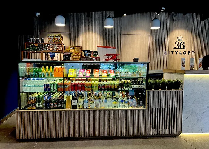 36号城市阁楼公寓 公寓式酒店 伊斯坦布尔