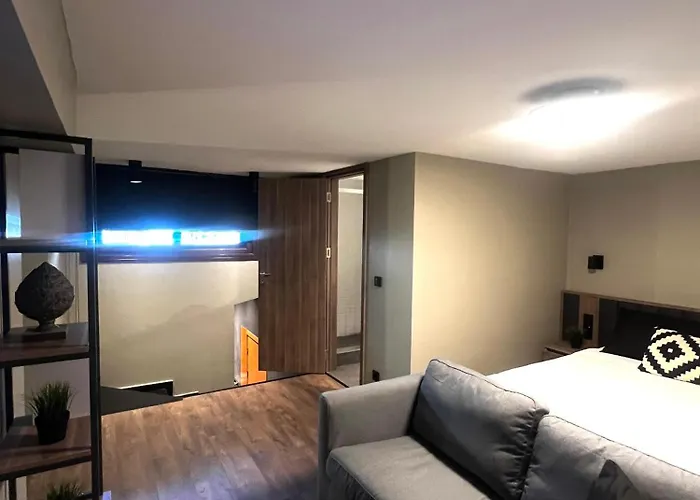 36号城市阁楼公寓 3*