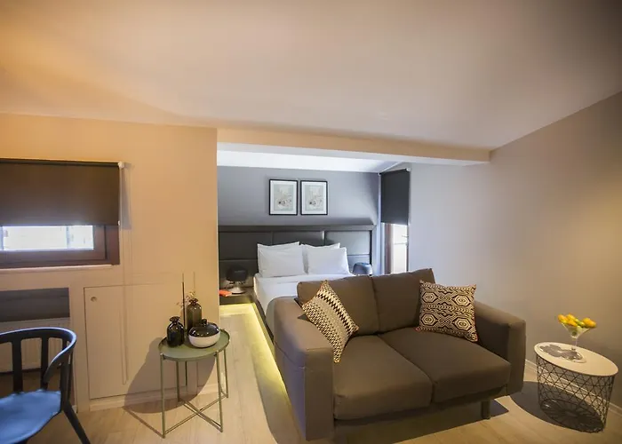 公寓式酒店 36号城市阁楼公寓 伊斯坦布尔