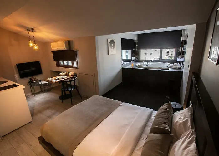 公寓式酒店 36号城市阁楼公寓 伊斯坦布尔